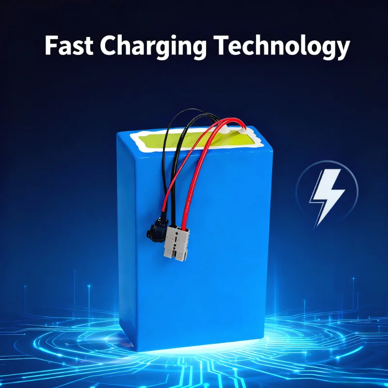 ชุดแบตเตอรี่ลิเธียมไอออน BMS 7 - 72V 40Ah Lifepo4 Battery Pack บทวิจารณ์และราคา